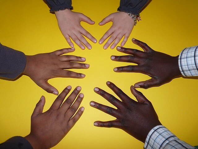 Our Work Within the Community