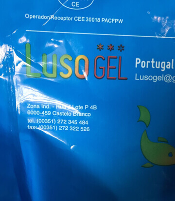 Peixe – Sardinhas